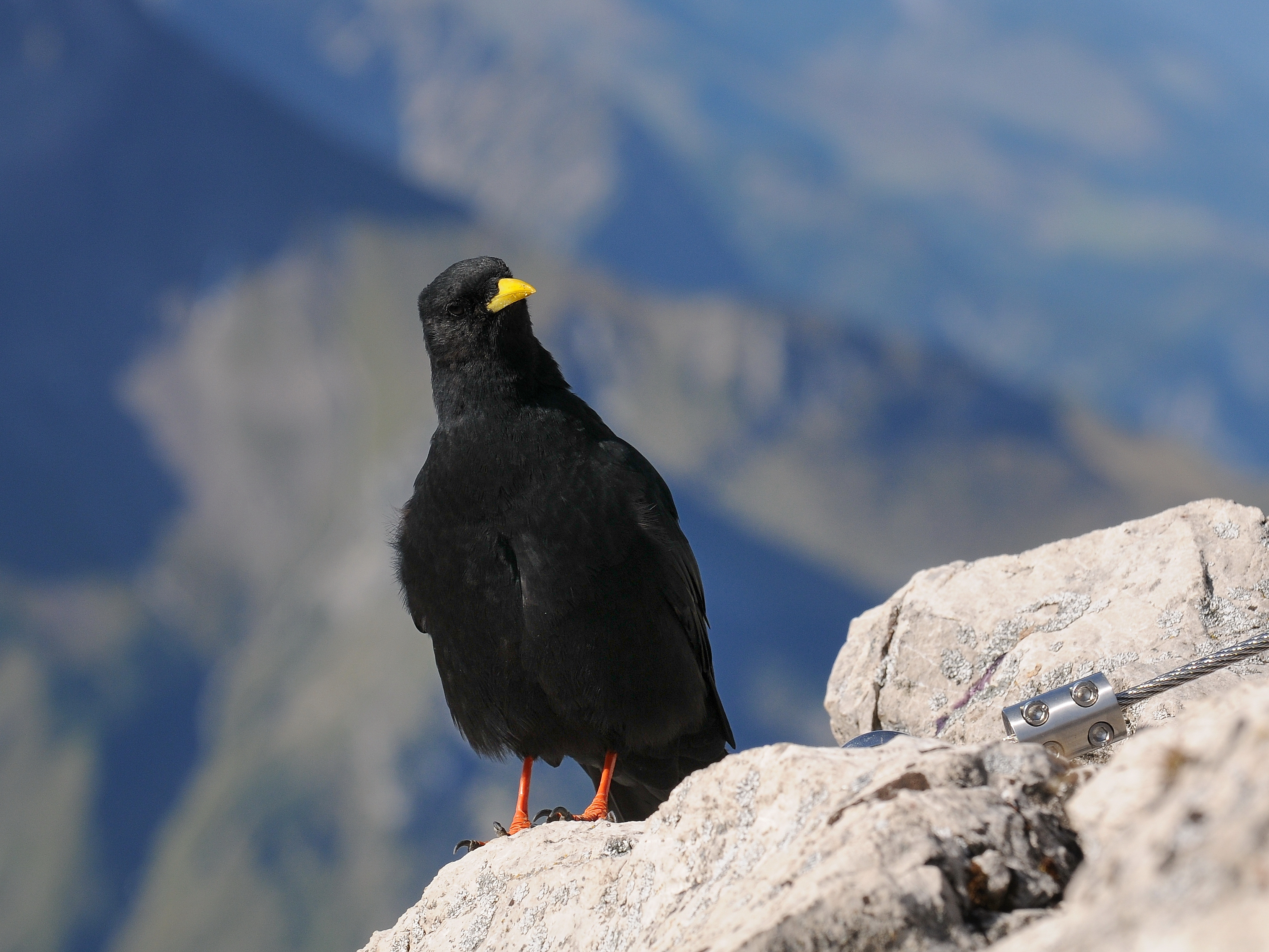 Foto: Böhringer Friedrich.